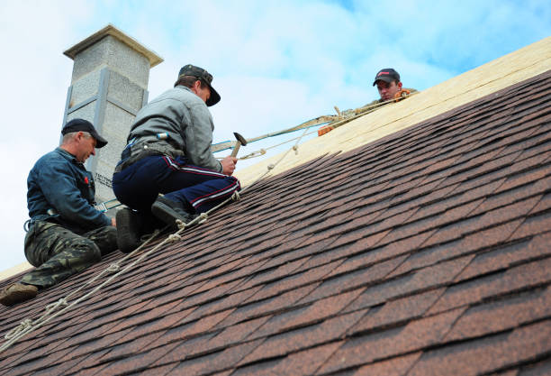 Best Storm Damage Roof Repair  in Avalon, PA